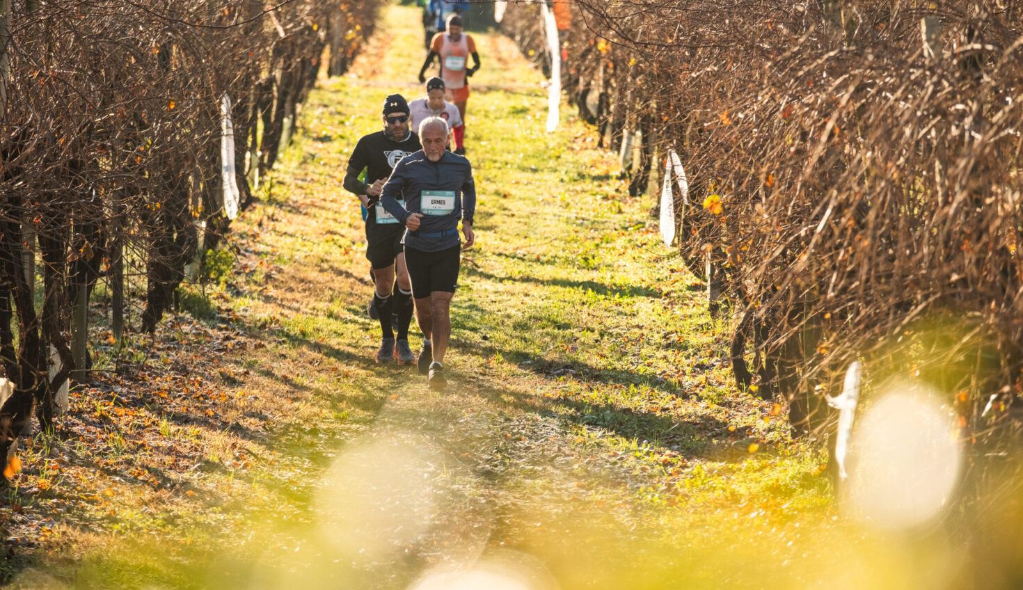 CONEGLIANO VALDOBBIADENE PROSECCO MARATHON 2024 – Hotel Villa Soligo 4 stelle S.